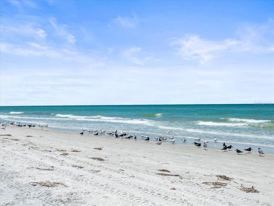 待售: $4,800,000 (0.23 acres)