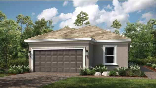 The Arezzo ~ Rendering