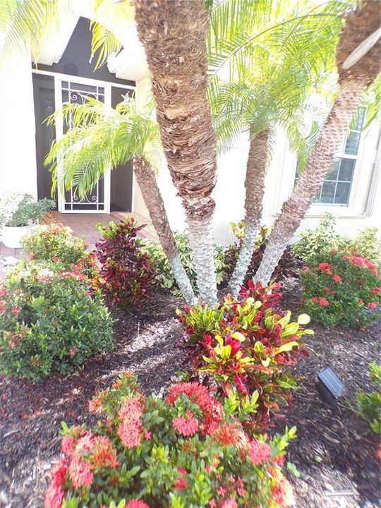 Под контрактом: $2,100 (3 спален, 2 ванн, 1804 Квадратных фут)