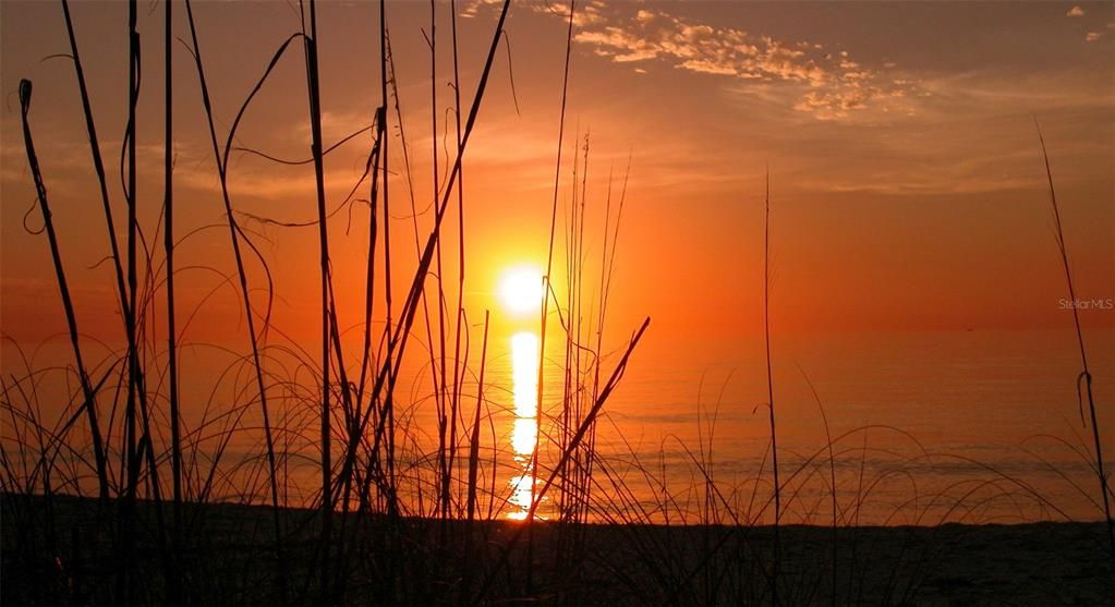 En Venta: $4,550,000 (0.70 acres)