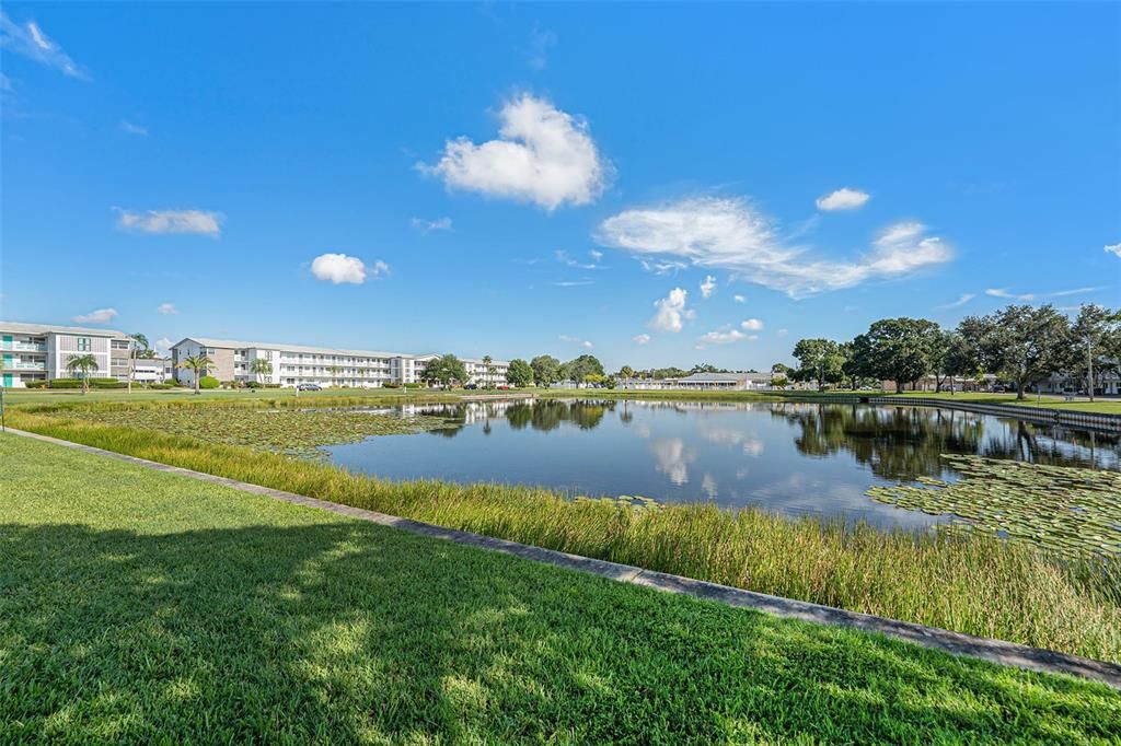 合同活跃: $117,500 (2 贝兹, 2 浴室, 910 平方英尺)