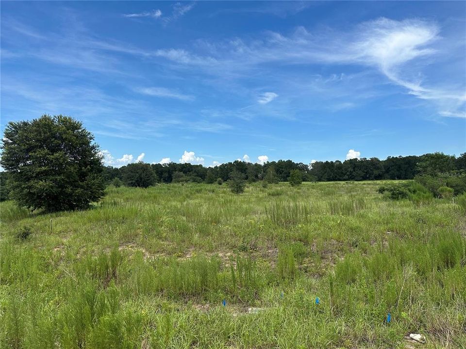 待售: $540,000 (4.32 acres)