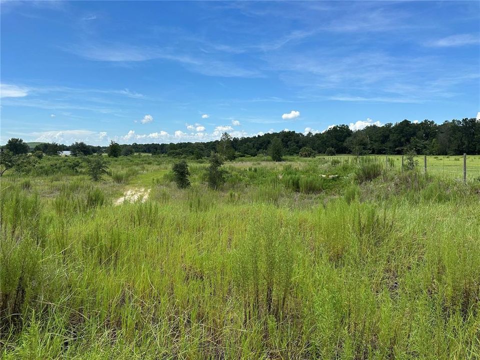 待售: $540,000 (4.32 acres)