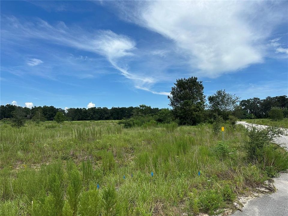 待售: $540,000 (4.32 acres)