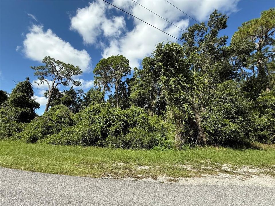 На продажу: $39,500 (1.18 acres)