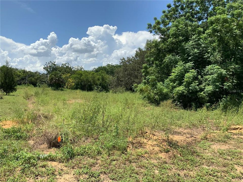 Недавно продано: $45,000 (0.33 acres)