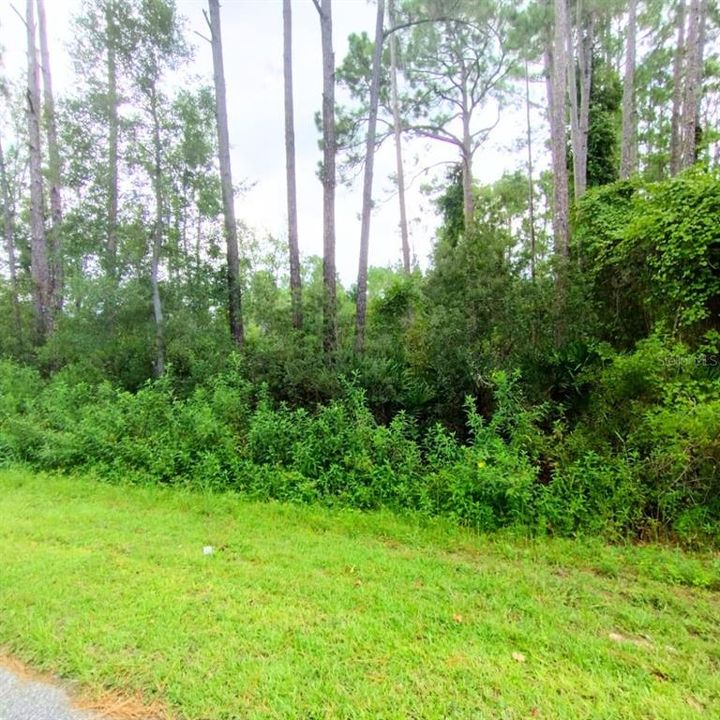 待售: $100,000 (5.22 acres)