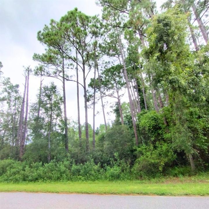 待售: $100,000 (5.22 acres)