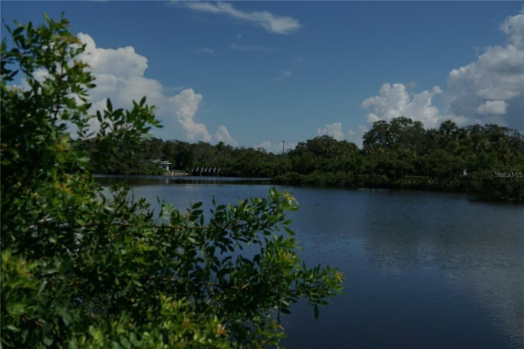 En Venta: $124,900 (0.17 acres)