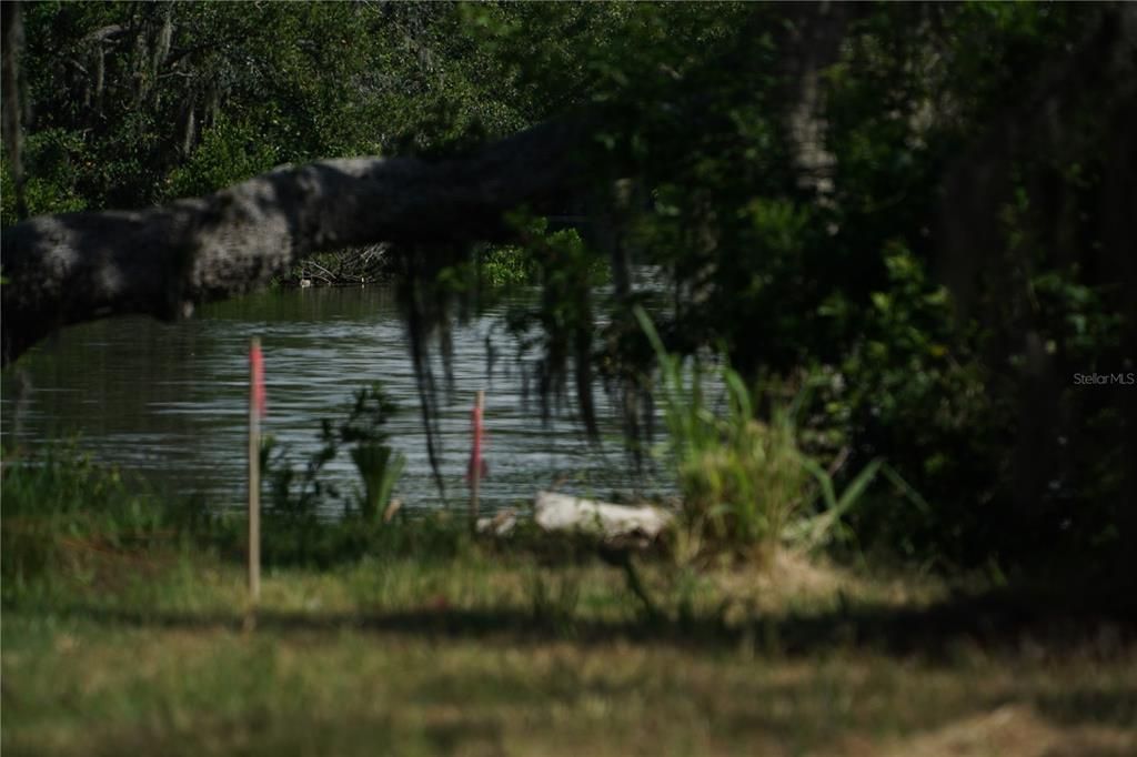 En Venta: $124,900 (0.17 acres)