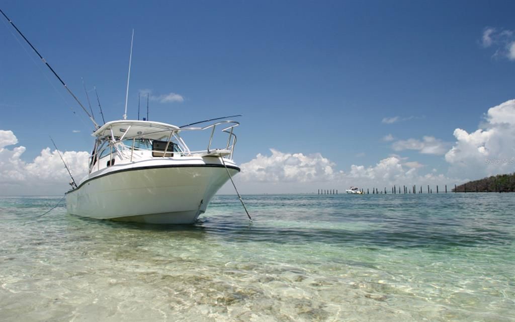 Под контрактом: $2,100,000 (3 спален, 3 ванн, 2448 Квадратных фут)