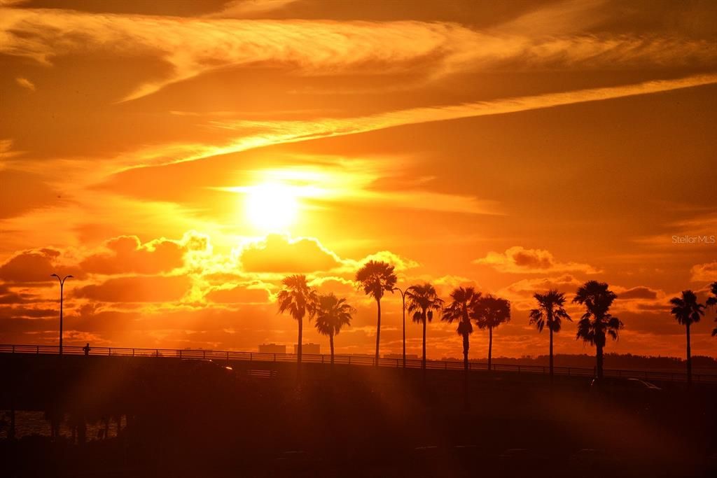 Под контрактом: $2,100,000 (3 спален, 3 ванн, 2448 Квадратных фут)