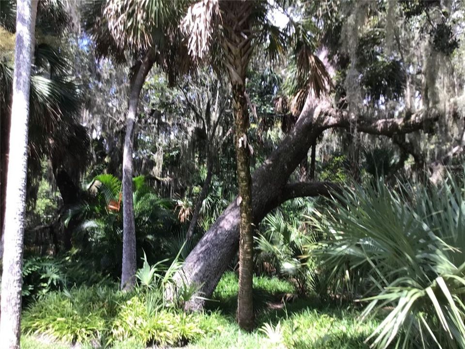 Activo con contrato: $114,800 (0.24 acres)