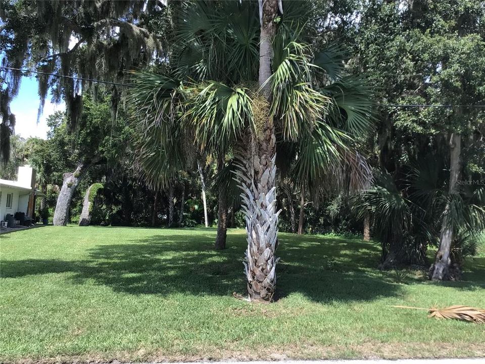 Activo con contrato: $114,800 (0.24 acres)