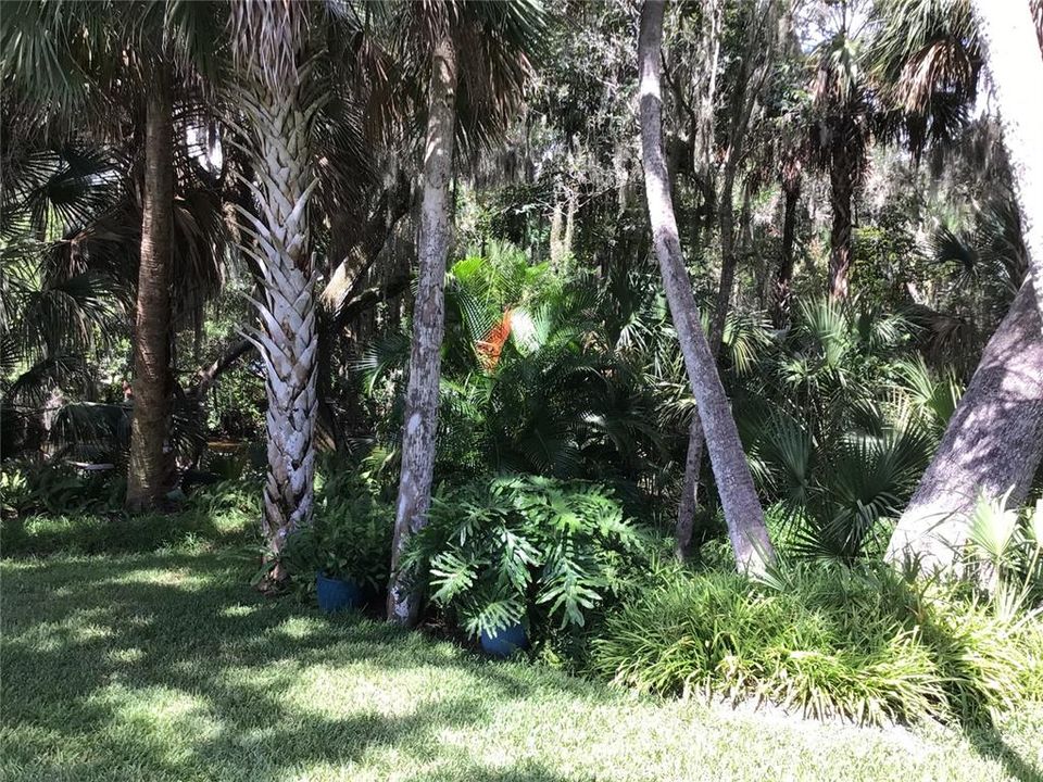 Activo con contrato: $114,800 (0.24 acres)