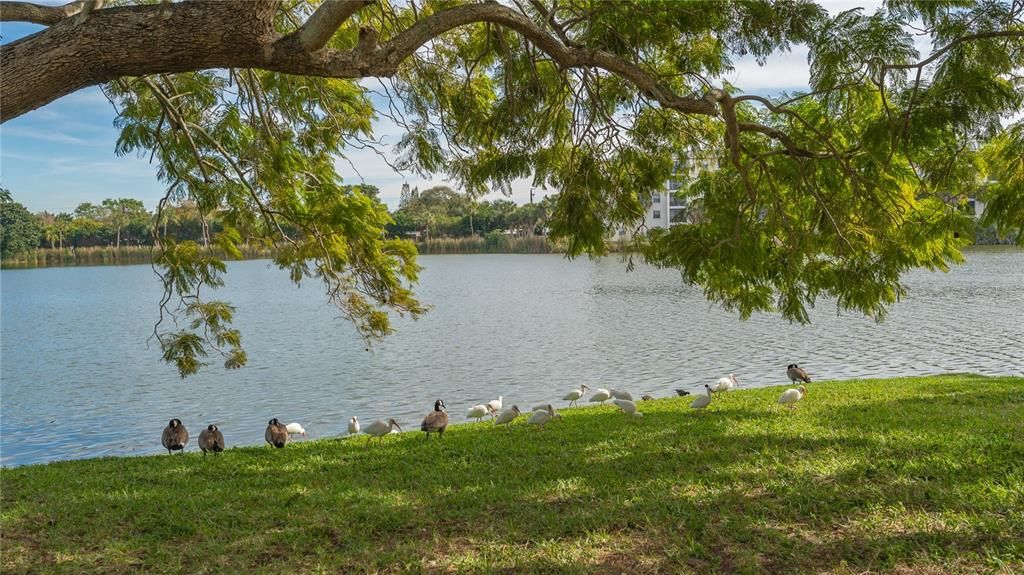 Под контрактом: $115,400 (2 спален, 2 ванн, 960 Квадратных фут)