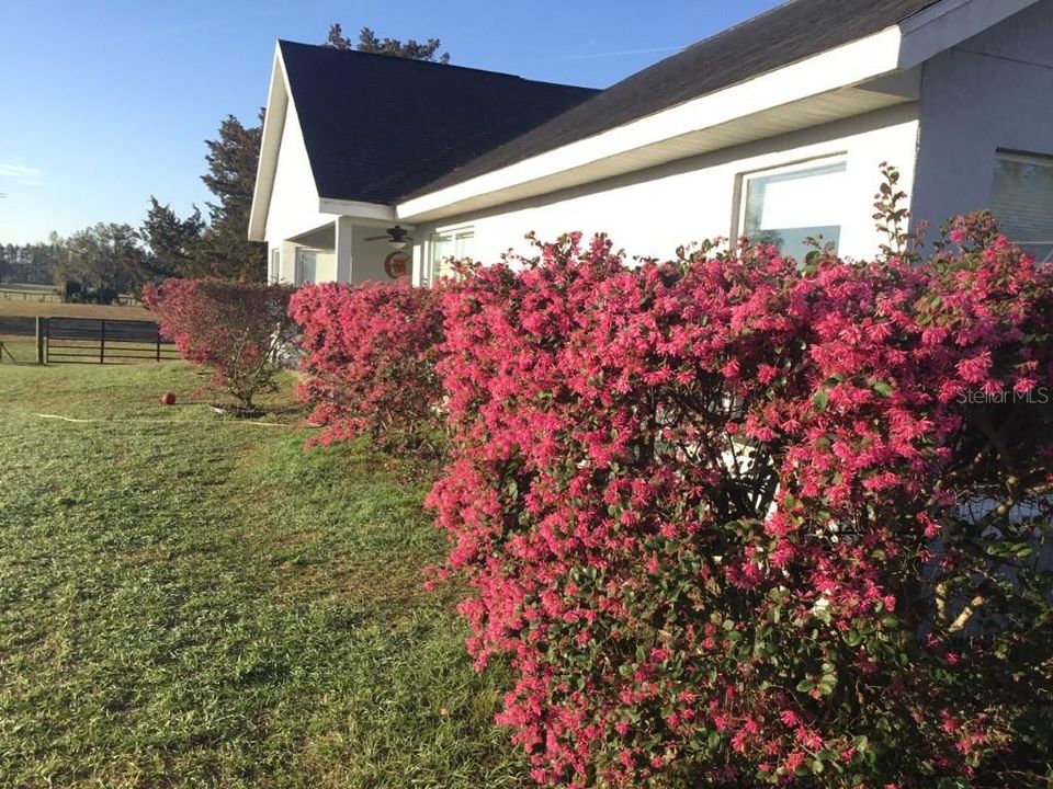 En Venta: $825,000 (3 camas, 2 baños, 2091 Pies cuadrados)