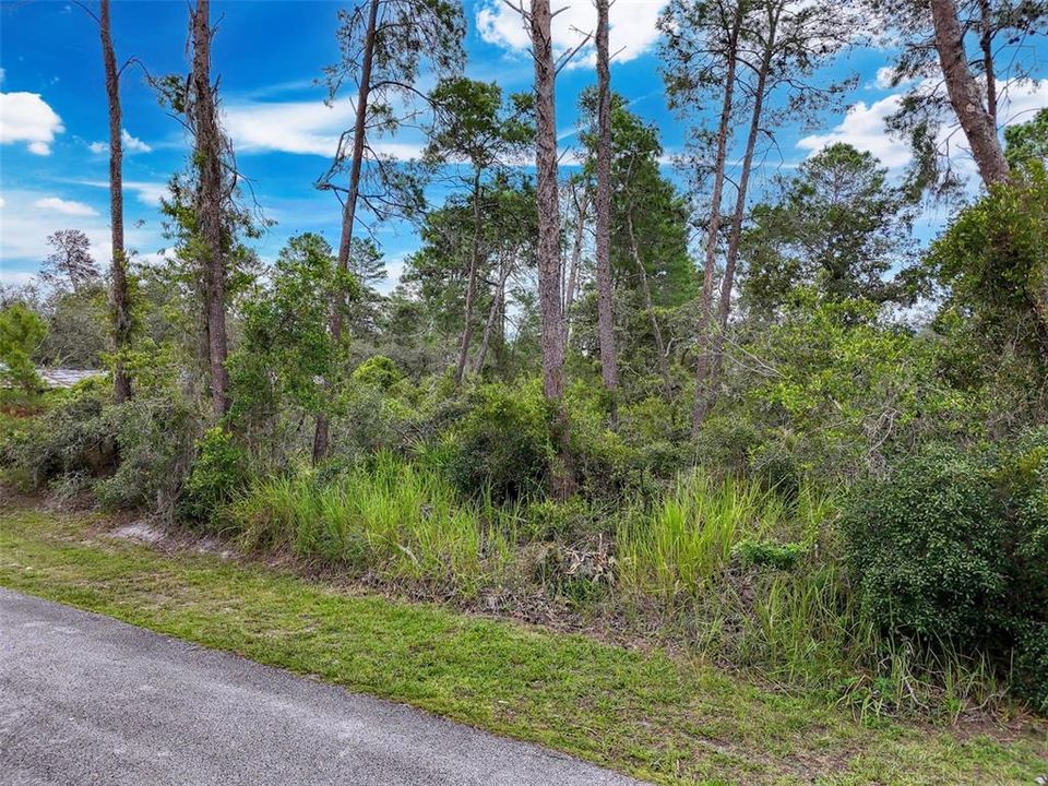 For Sale: $52,000 (0.27 acres)