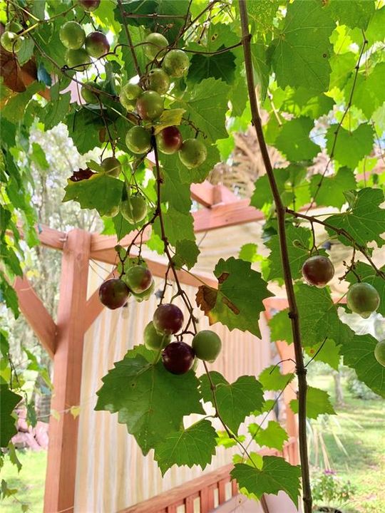 待售: $560,000 (4 贝兹, 3 浴室, 3024 平方英尺)