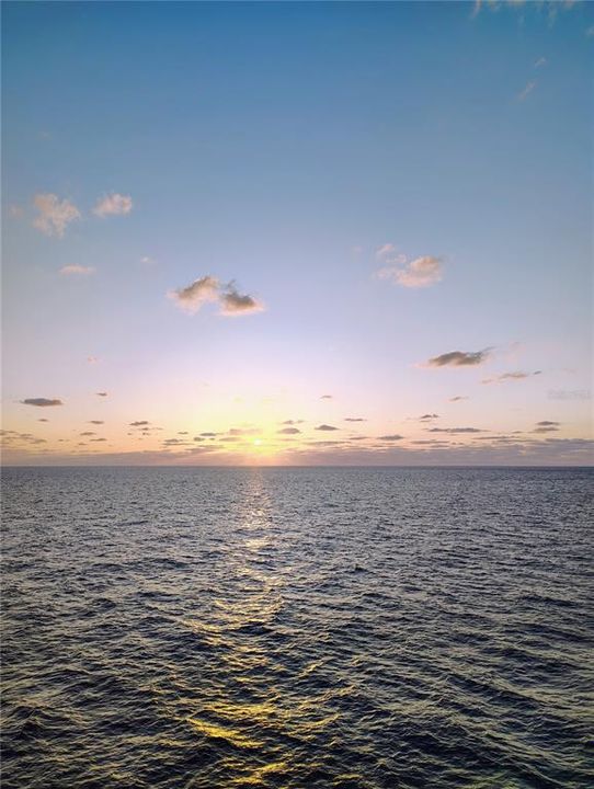 合同活跃: $110,000 (3 贝兹, 2 浴室, 1085 平方英尺)