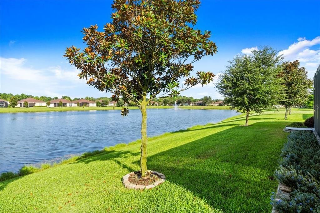 合同活跃: $579,000 (3 贝兹, 2 浴室, 2279 平方英尺)