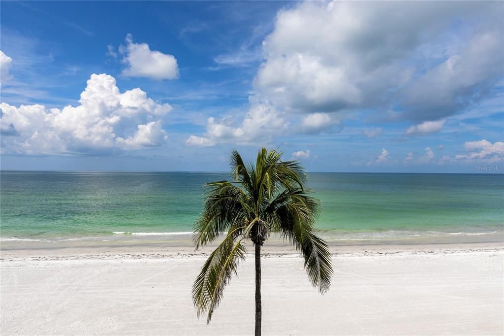 出租: $15,500 (2 贝兹, 2 浴室, 1560 平方英尺)