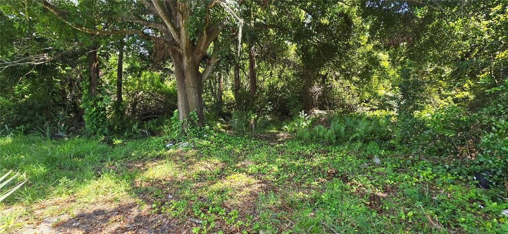 Под контрактом: $189,999 (2 спален, 1 ванн, 848 Квадратных фут)