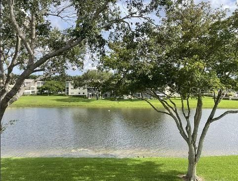 En Venta: $159,000 (1 camas, 1 baños, 720 Pies cuadrados)