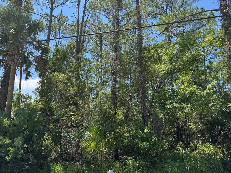 En Venta: $69,999 (0.28 acres)