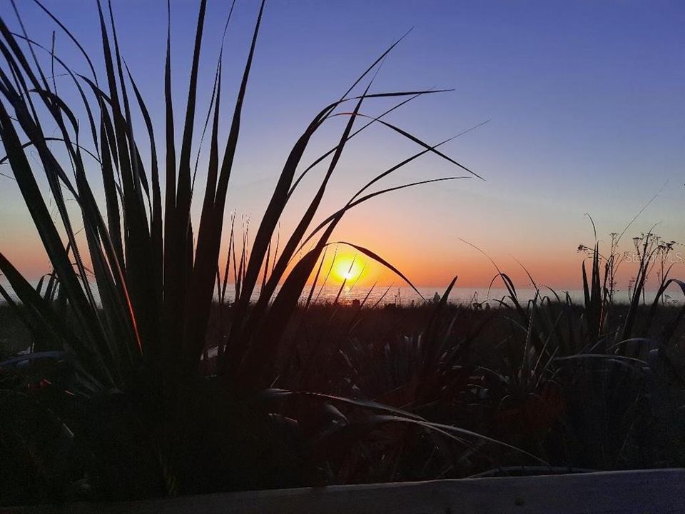 En Venta: $54,900 (0.22 acres)