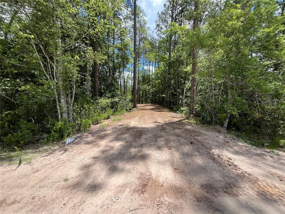 待售: $115,000 (4.50 acres)