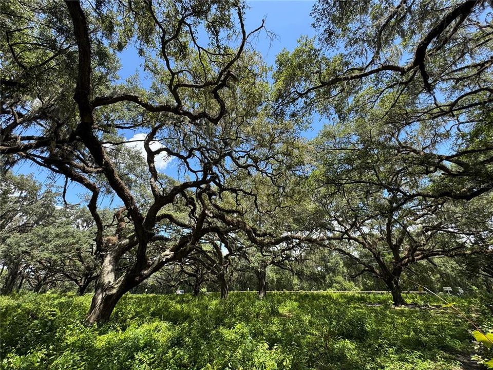 For Sale: $1,200,000 (20.00 acres)