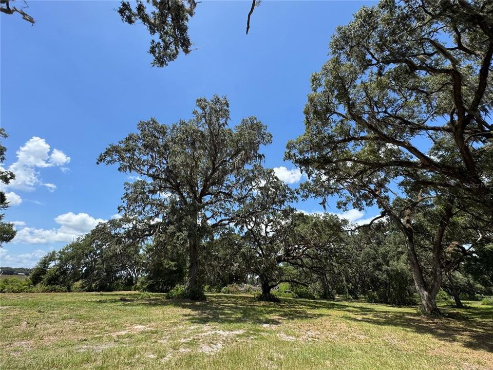 For Sale: $1,200,000 (20.00 acres)