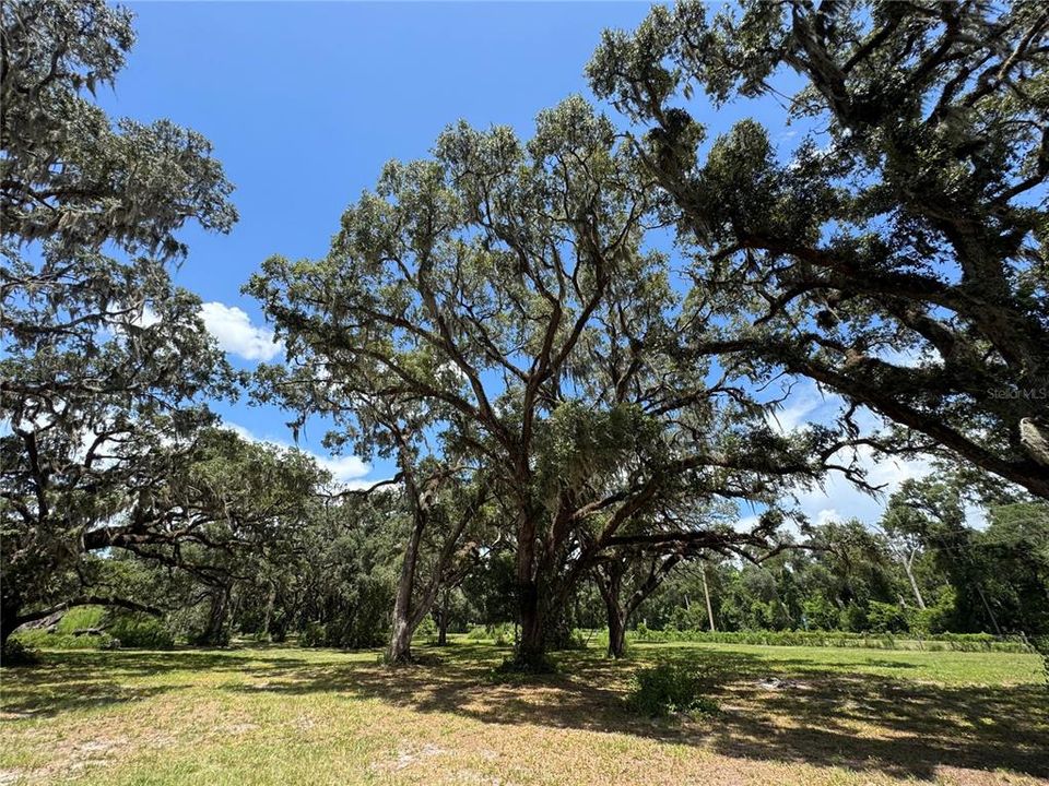 For Sale: $1,200,000 (20.00 acres)