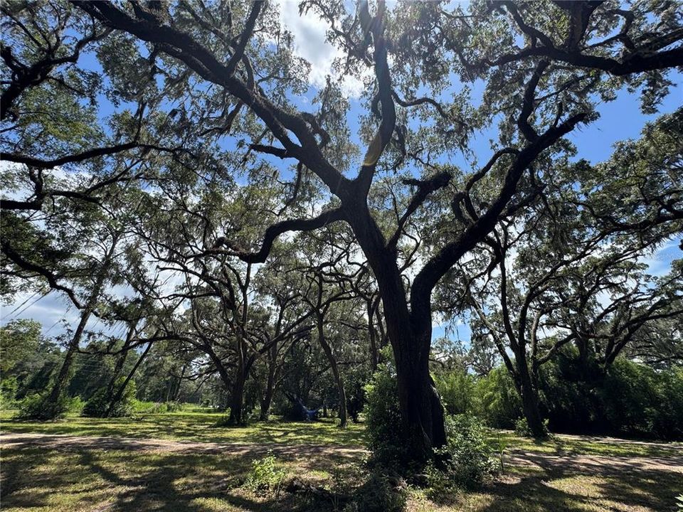 For Sale: $1,200,000 (20.00 acres)