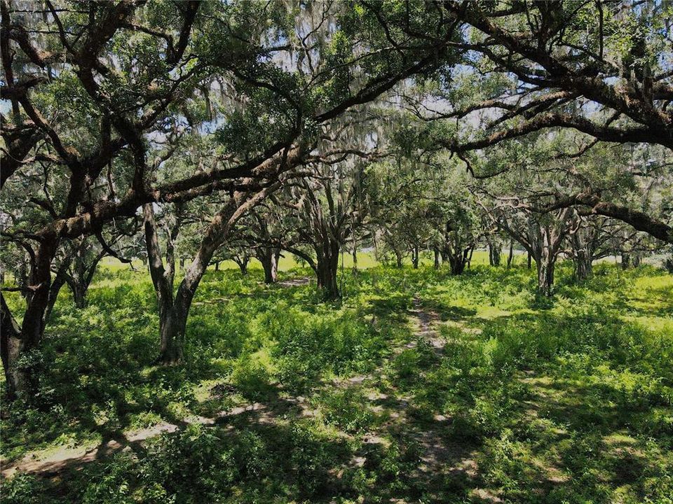 For Sale: $1,200,000 (20.00 acres)