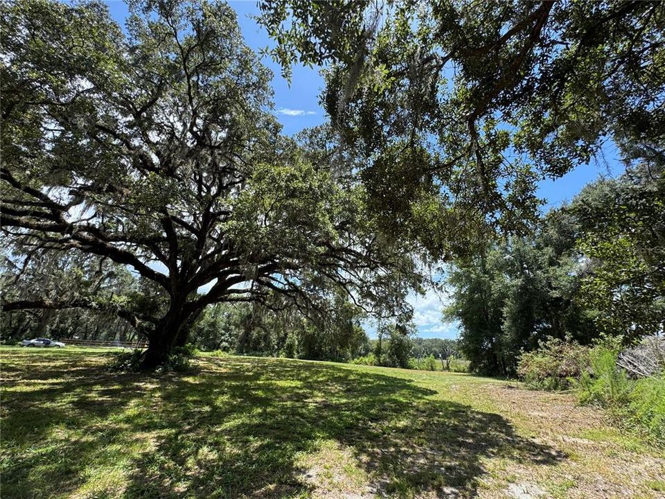 For Sale: $1,200,000 (20.00 acres)