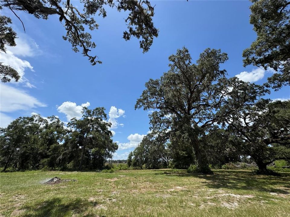 For Sale: $1,200,000 (20.00 acres)