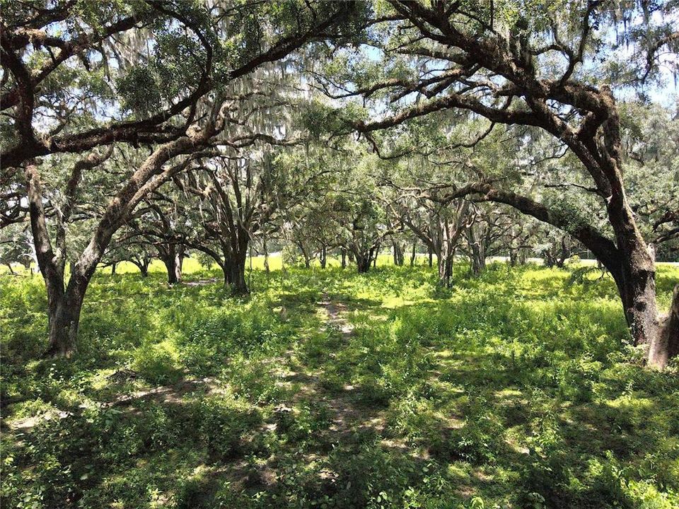 For Sale: $1,200,000 (20.00 acres)