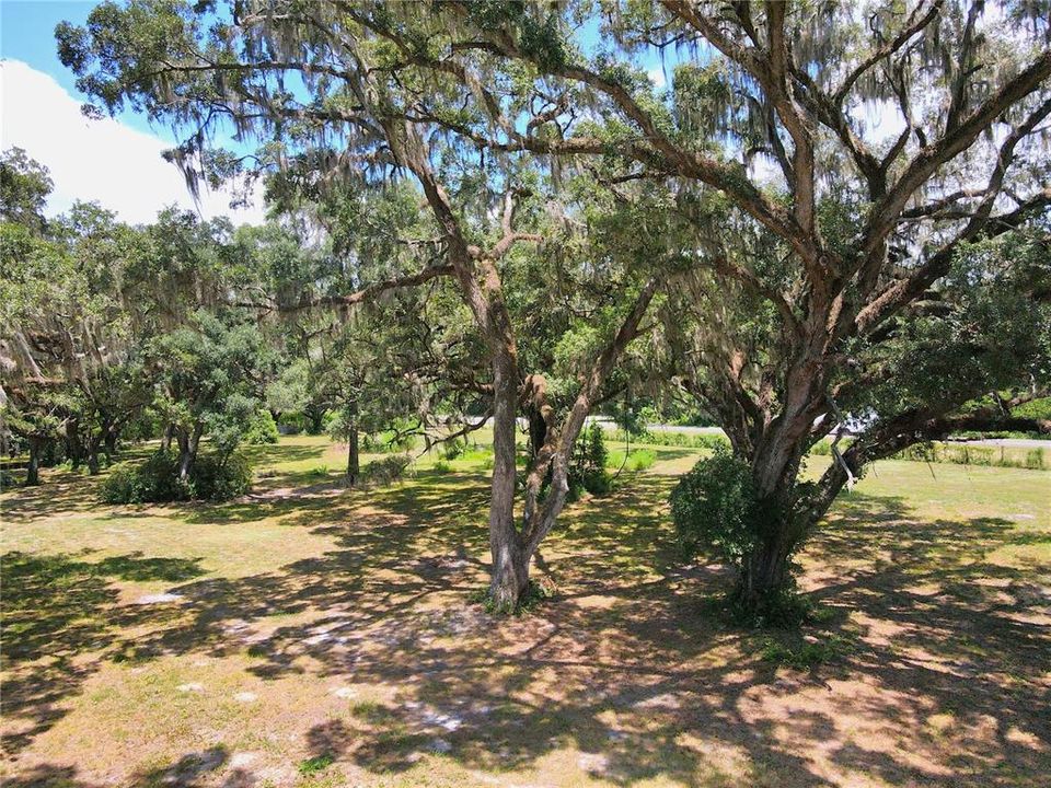 For Sale: $1,200,000 (20.00 acres)