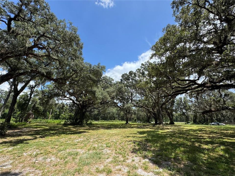For Sale: $1,200,000 (20.00 acres)
