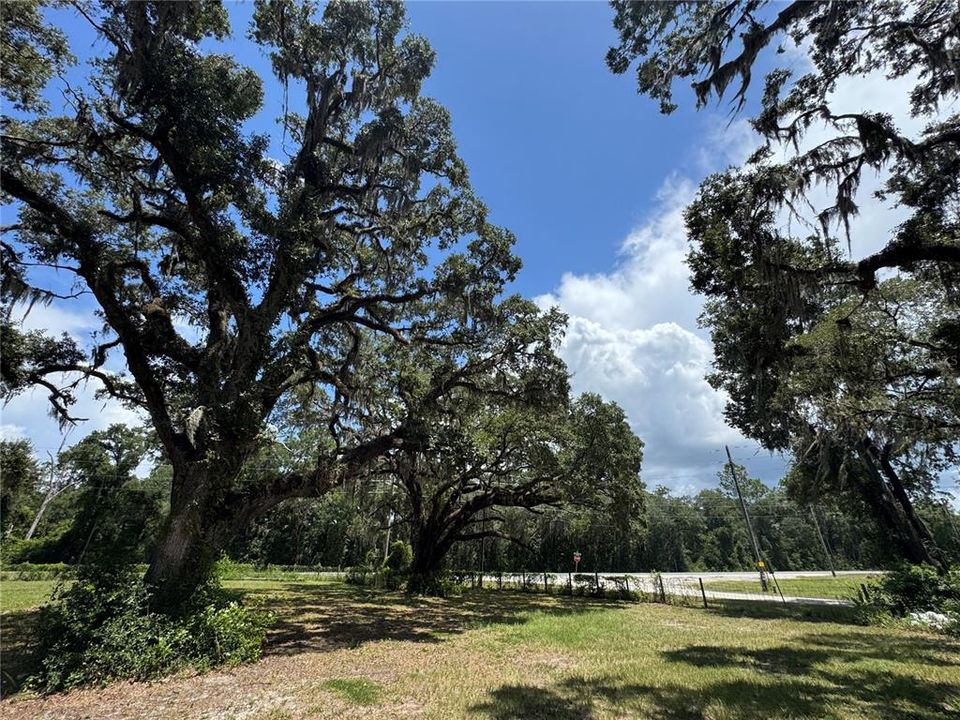 For Sale: $1,200,000 (20.00 acres)