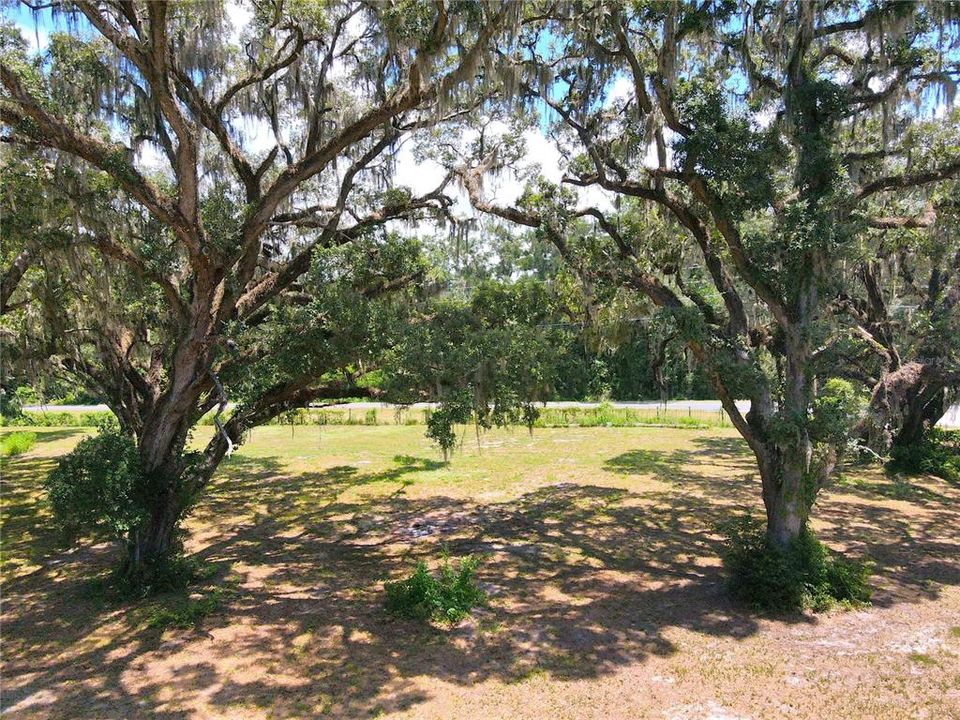 For Sale: $1,200,000 (20.00 acres)