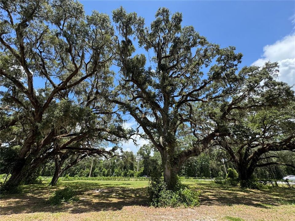 For Sale: $1,200,000 (20.00 acres)