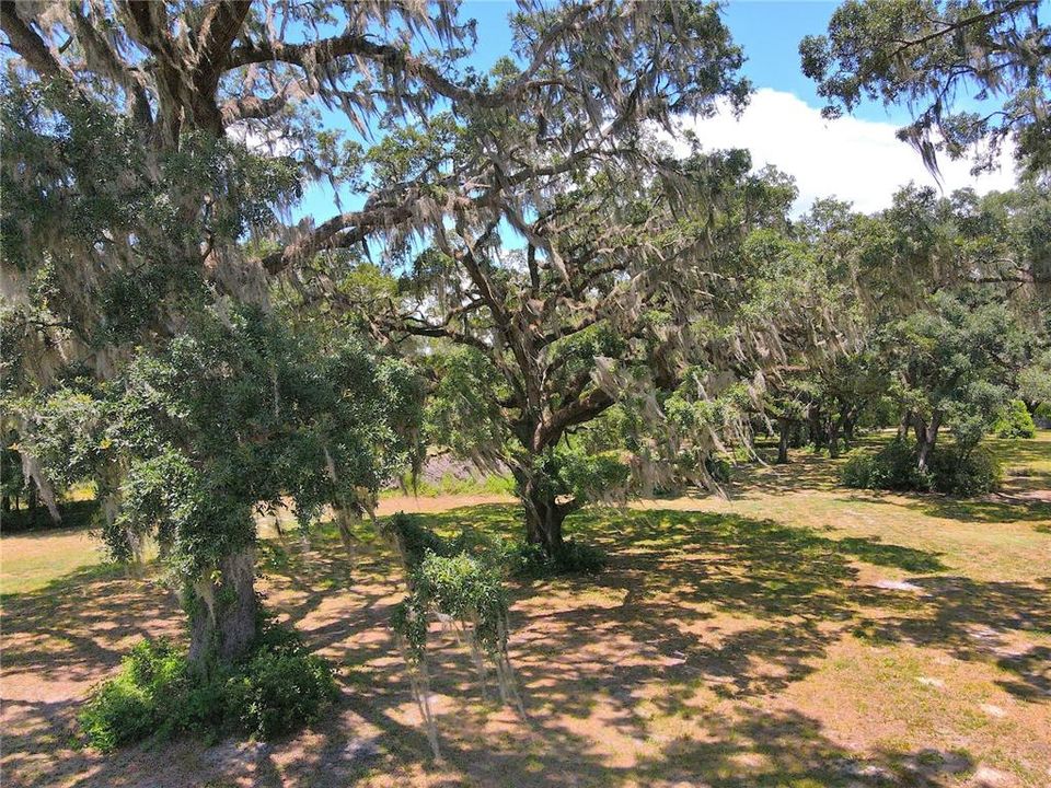 For Sale: $1,200,000 (20.00 acres)