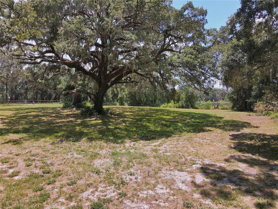 For Sale: $1,200,000 (20.00 acres)