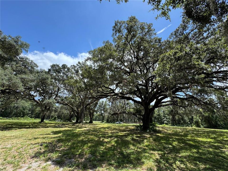 For Sale: $1,200,000 (20.00 acres)