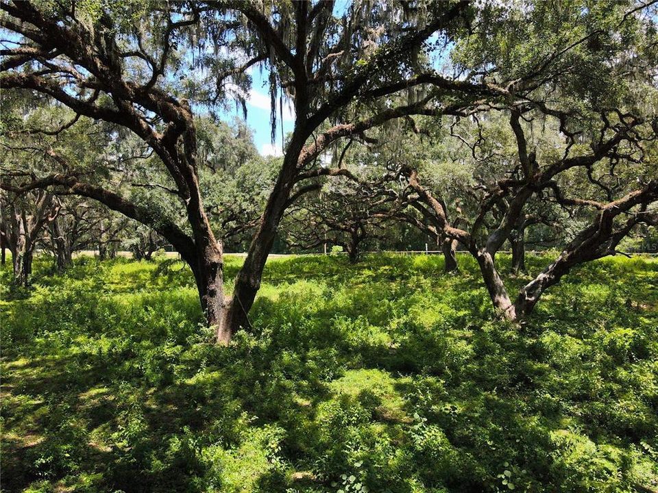 For Sale: $1,200,000 (20.00 acres)