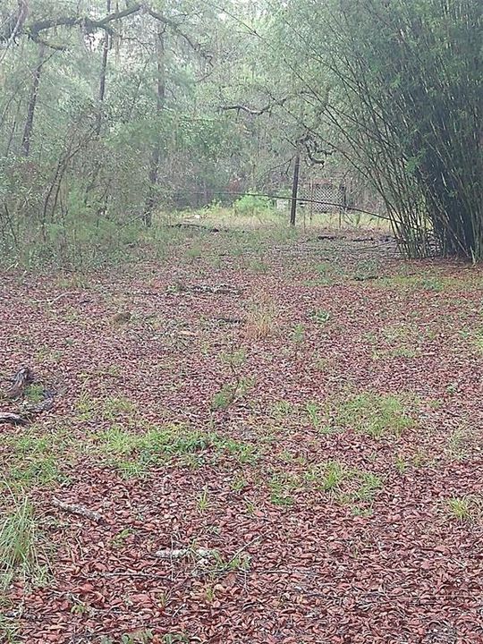 待售: $99,999 (2 贝兹, 1 浴室, 780 平方英尺)