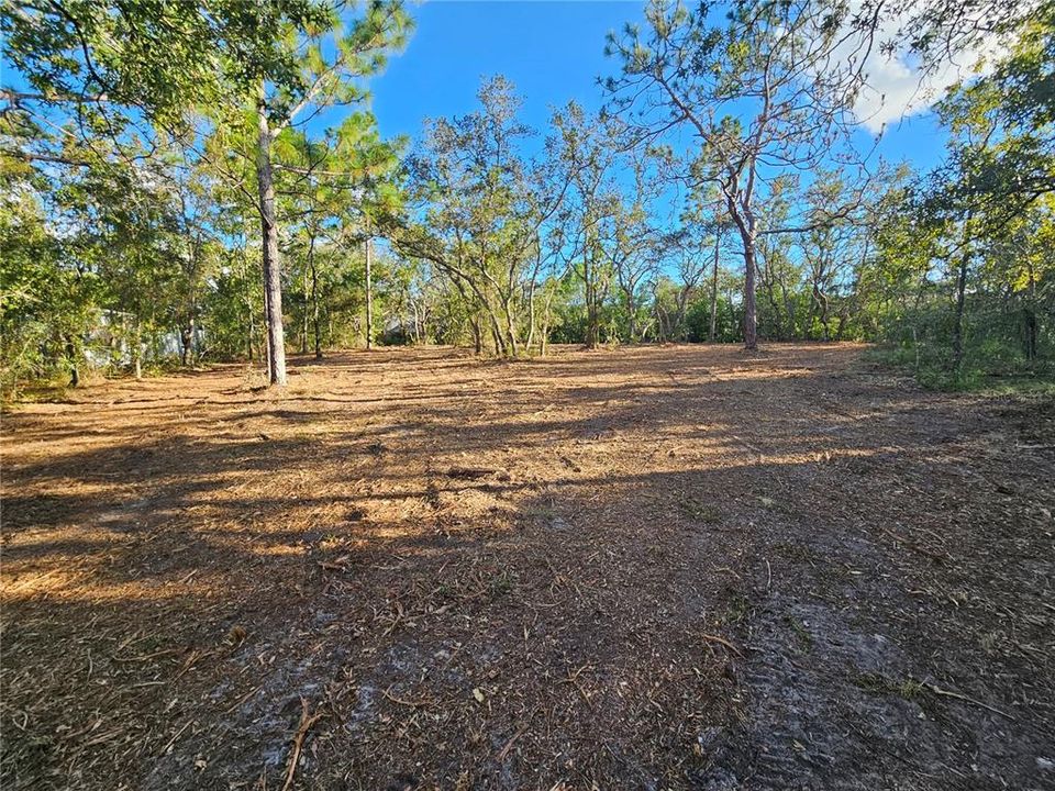 Activo con contrato: $69,900 (1.13 acres)